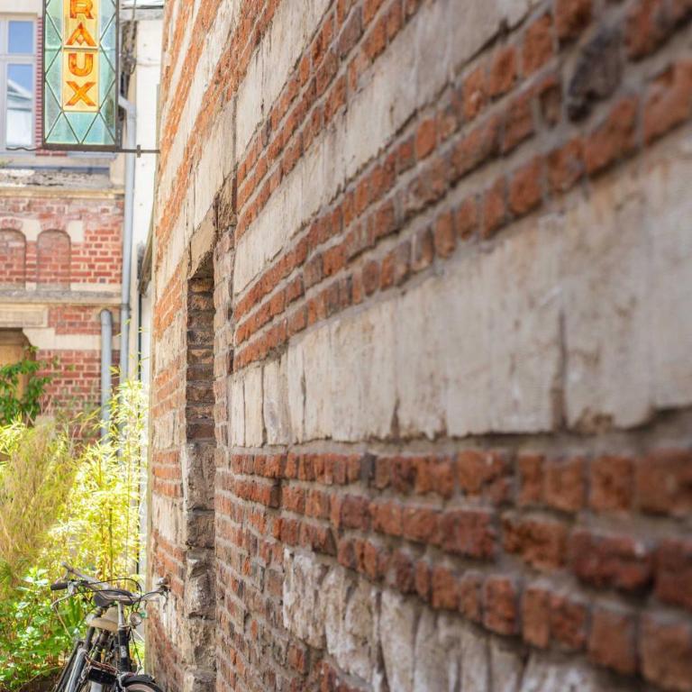 Le Vitrail - Cathedrale Centre Charme - Apartamento - 19
