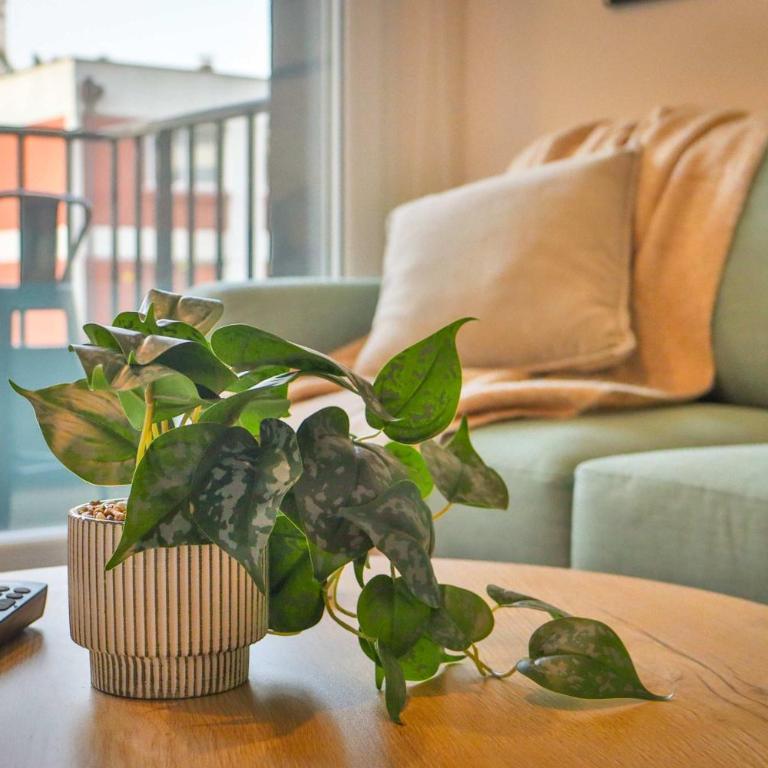 HOM I Luminoso Depto 2D2B en Nunoa 4PAX Parking - Apartamento - 55