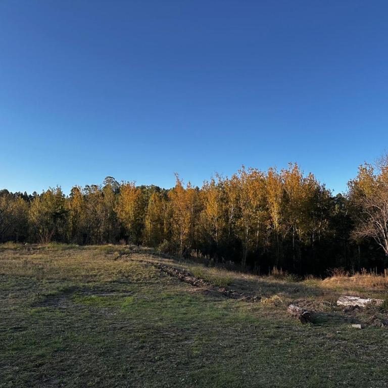 Real del Cóndor San Clemente - Casa de 2 dormitorios - 48