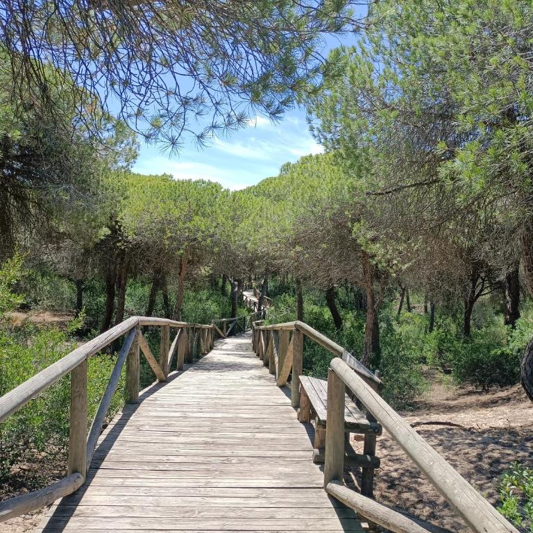 Cosy Apartment Views Pinares Almadraba - One-Bedroom Apartment - 18