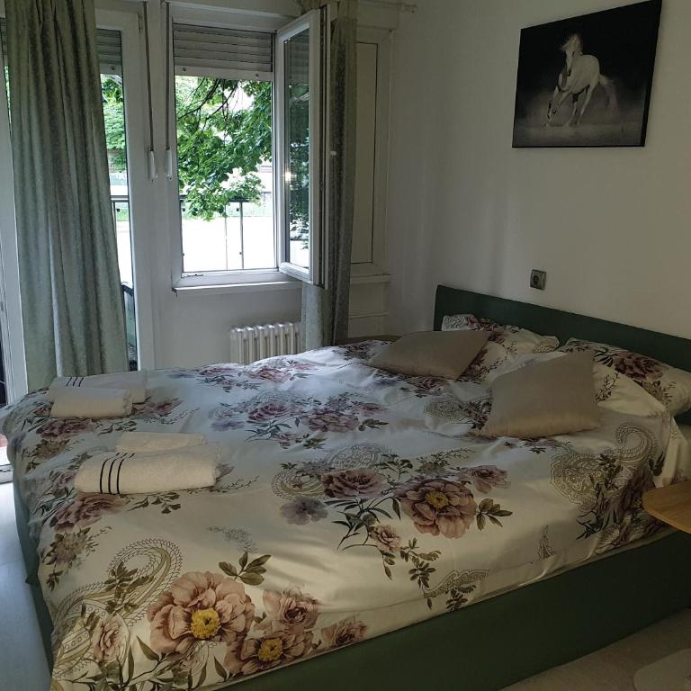 apartman oli - One-Bedroom Apartment - 5