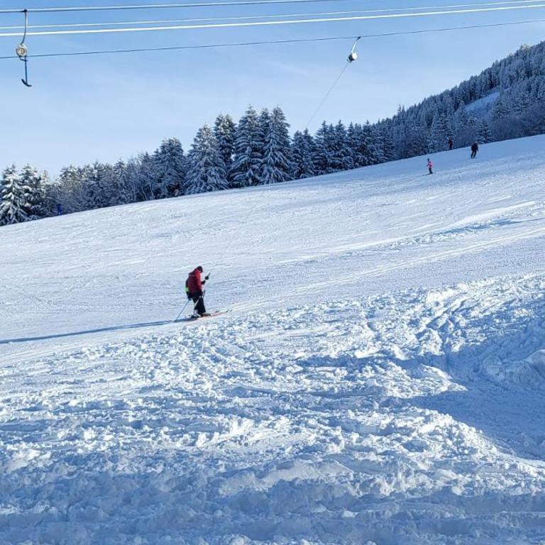 Bergchalet mit Pool und Sauna, ganz nah am Bikepark Weitnau, direkt am Skilift - Apartment mit 1 Schlafzimmer - 42