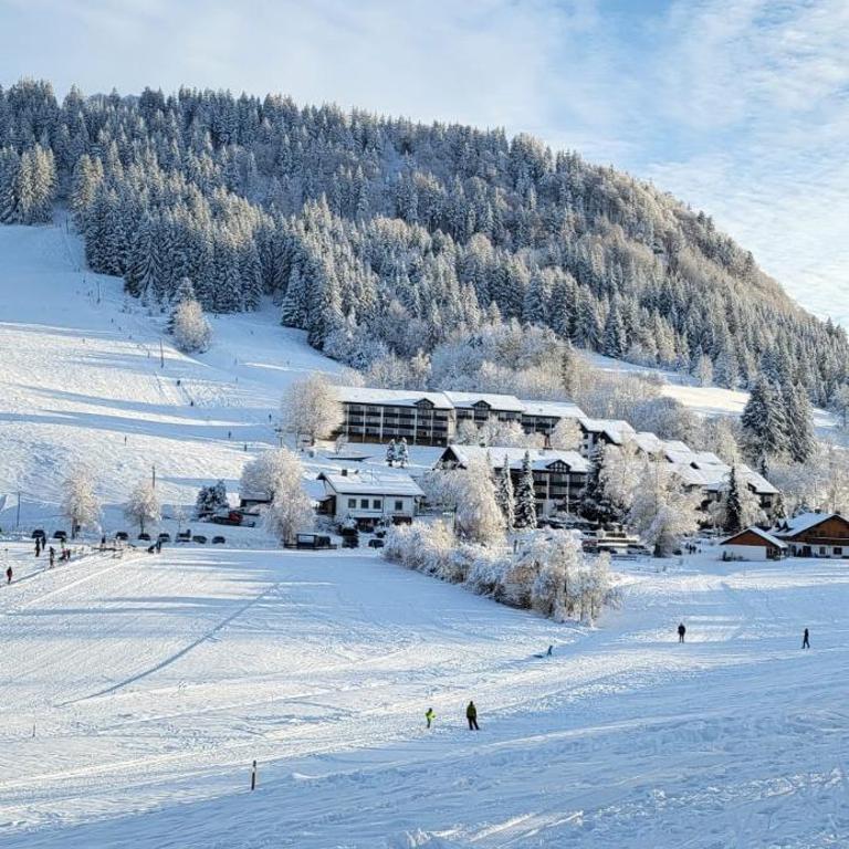 Bergchalet mit Pool und Sauna, ganz nah am Bikepark Weitnau, direkt am Skilift - Apartment mit 1 Schlafzimmer - 40