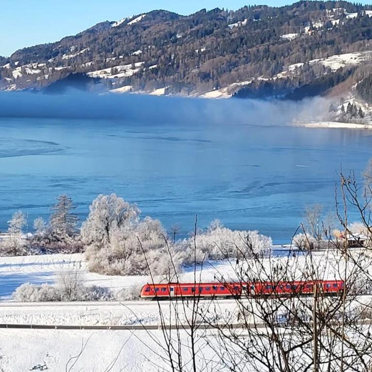 Bergchalet mit Pool und Sauna, ganz nah am Bikepark Weitnau, direkt am Skilift - Apartment mit 1 Schlafzimmer - 57