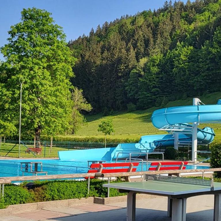 Bergchalet mit Pool und Sauna, ganz nah am Bikepark Weitnau, direkt am Skilift - Apartment mit 1 Schlafzimmer - 52