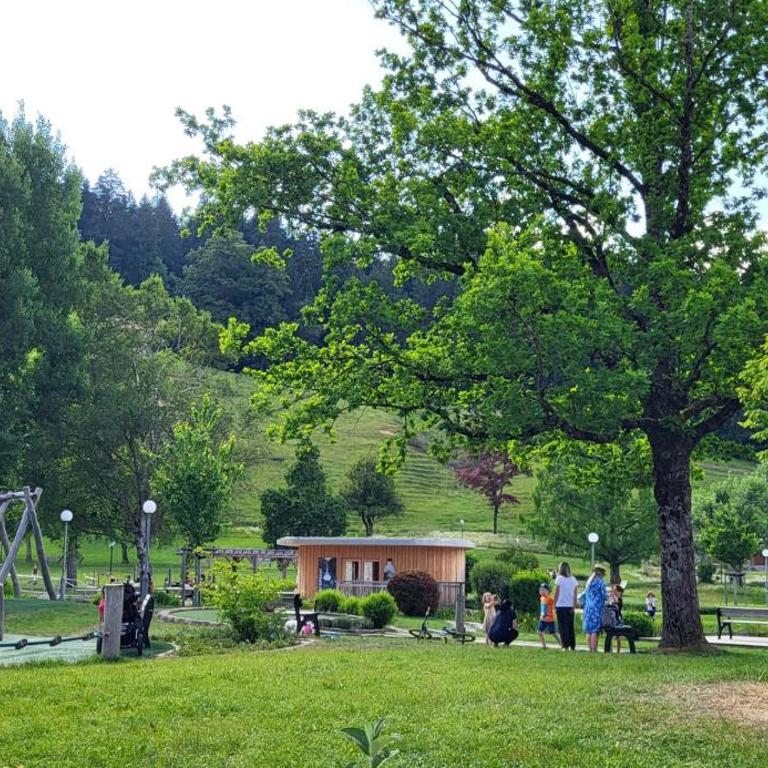 Bergchalet mit Pool und Sauna, ganz nah am Bikepark Weitnau, direkt am Skilift - Apartment mit 1 Schlafzimmer - 54
