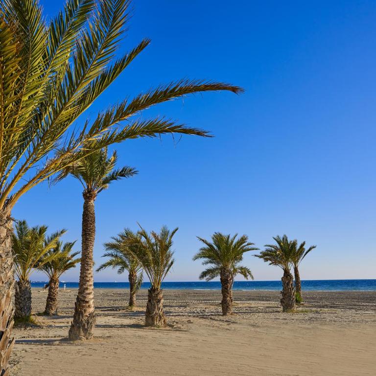 Residence Santa Pola - Apartamento de 3 dormitorios - 25