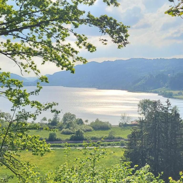 Bergchalet mit Pool und Sauna, ganz nah am Bikepark Weitnau, direkt am Skilift - Apartment mit 1 Schlafzimmer - 60