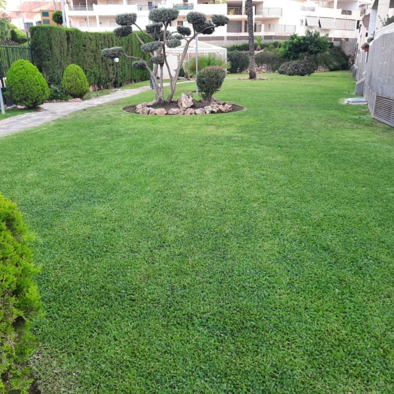 Spacious Apartment with all facilities just a few metres from the Beach - Apartment - 26
