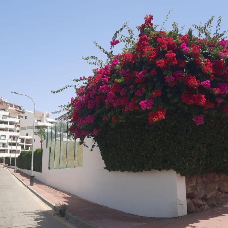 Spacious Apartment with all facilities just a few metres from the Beach - Apartment - 31