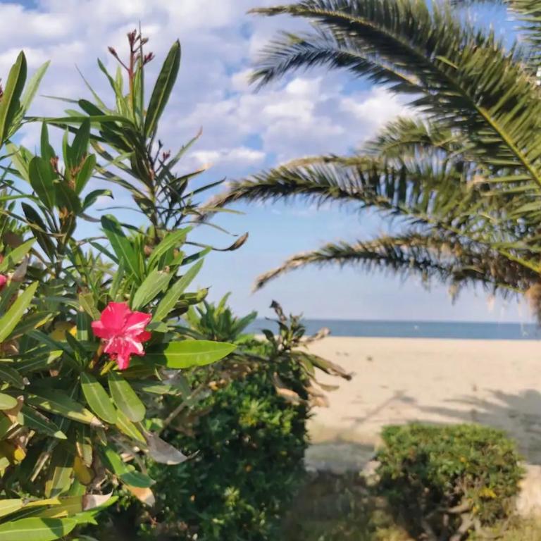 T3 - 6 personnes - Plage 350m - Piscine - Parking - Apartment mit 2 Schlafzimmern - 12