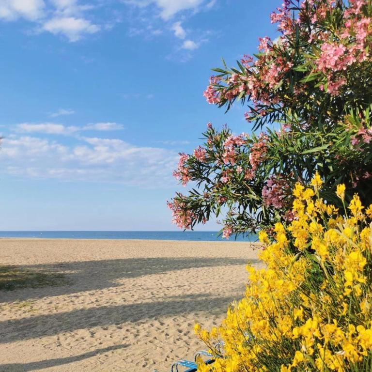T3 - 6 personnes - Plage 350m - Piscine - Parking - Apartment mit 2 Schlafzimmern - 10
