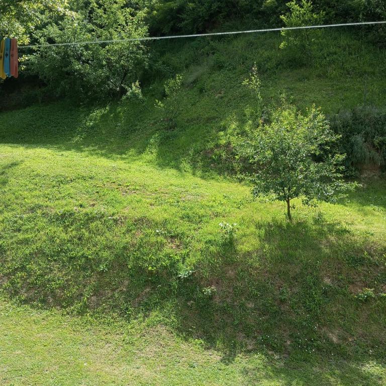 Apartmani Mušinbegović1 - Apartman sa 2 Spavaće Sobe - 14