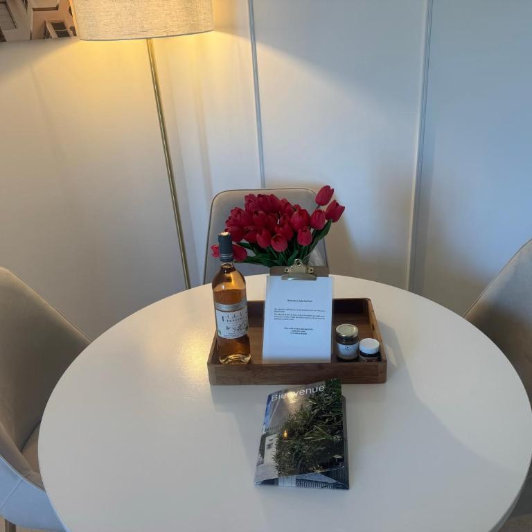 Appartement T3 grand standing à Juan Les Pins - Two-Bedroom Apartment - 9
