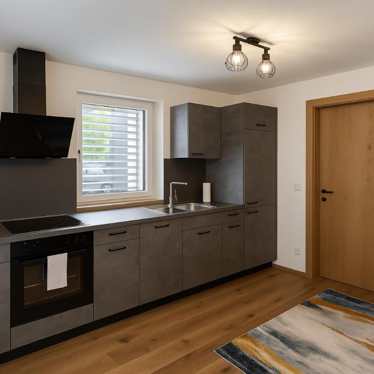 T-Collection Premium Apartments - Apartment mit 1 Schlafzimmer und Terrasse - 8