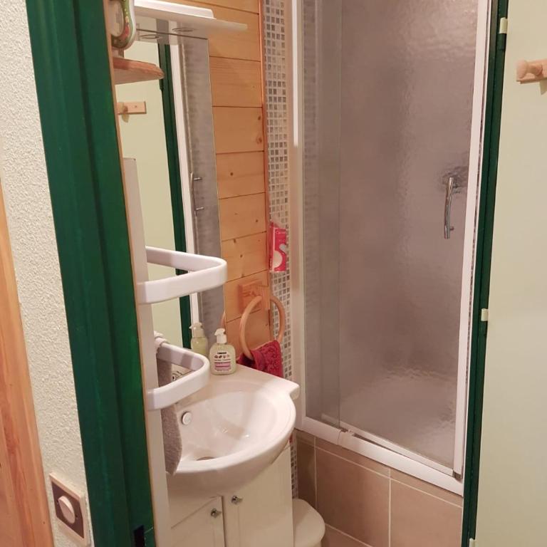 Comfortable and charming studio Foux d Allos Centre 4 pers - Appartement 1 Chambre - 10