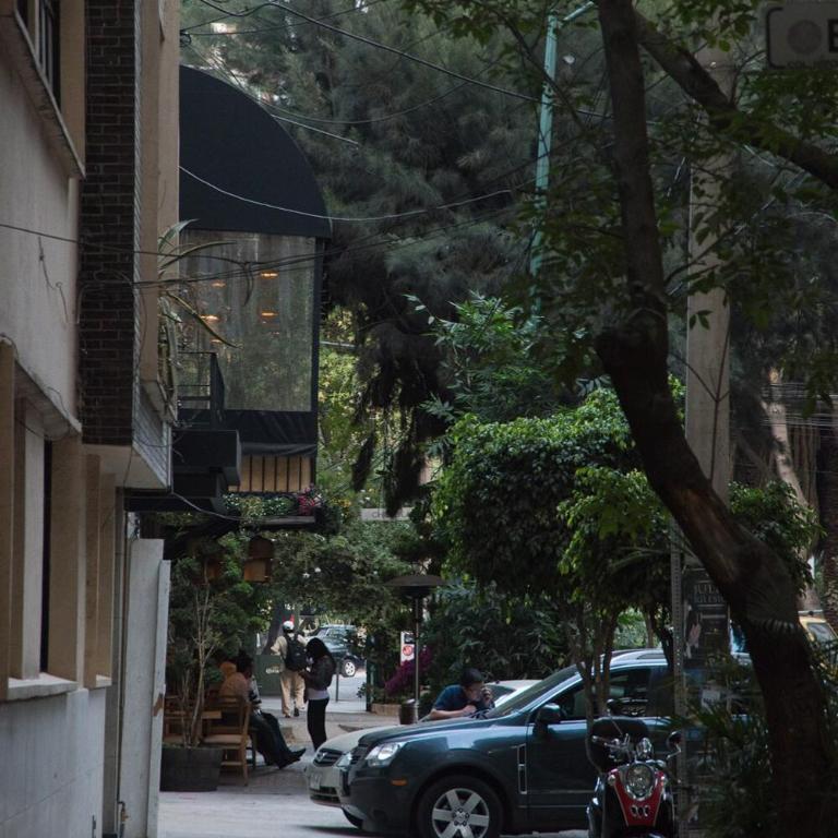 Loft in the fun part of Condesa - Apartamento de 1 dormitorio - 11