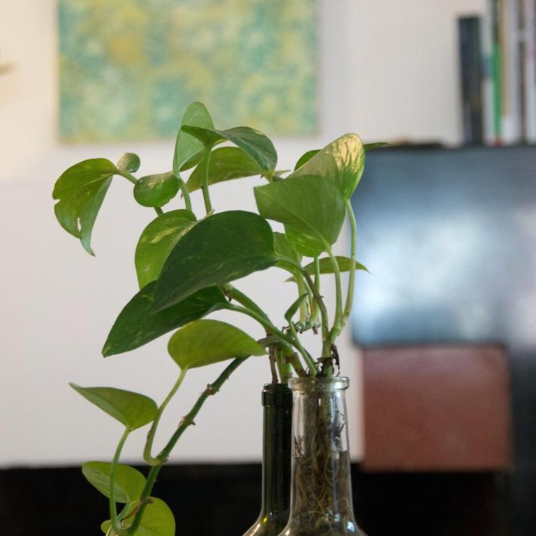 Loft in the fun part of Condesa - Apartamento de 1 dormitorio - 15
