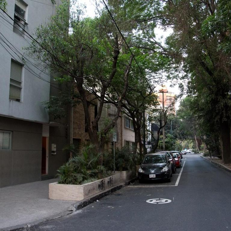 Loft in the fun part of Condesa - Apartamento de 1 dormitorio - 45