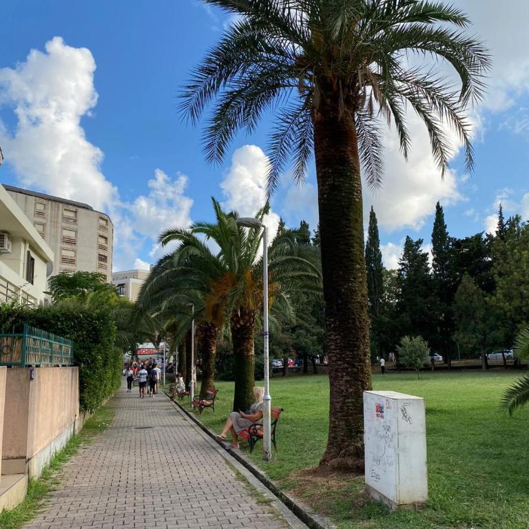 Adriana Apartment - Apartman sa 1 Spavaćom Sobom - 4