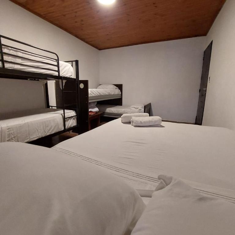 El Gran Gomero Hostal & Motoposada - Habitación Cuádruple Económica con baño compartido - 2