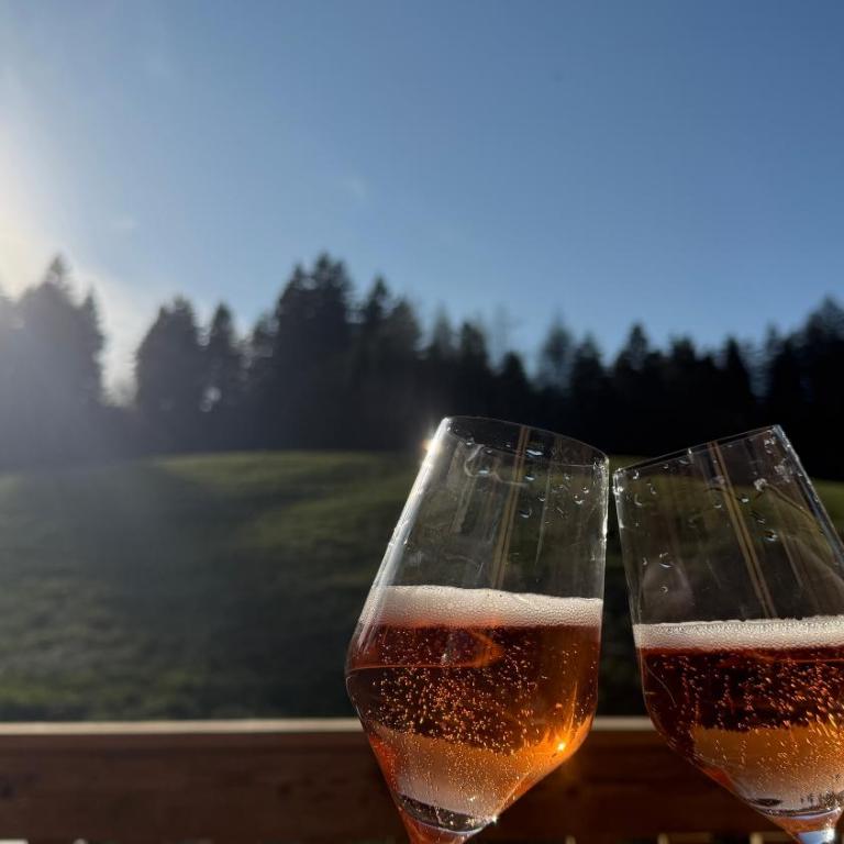 Ziegelberg Chalets - Chalet Waldblick - 35