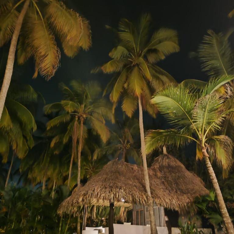 Hotel Casalina - Bungalow frente a la playa - 7