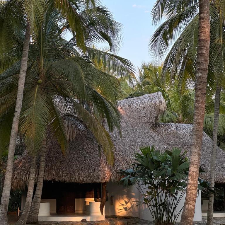 Hotel Casalina - Bungalow con vistas al mar - 4
