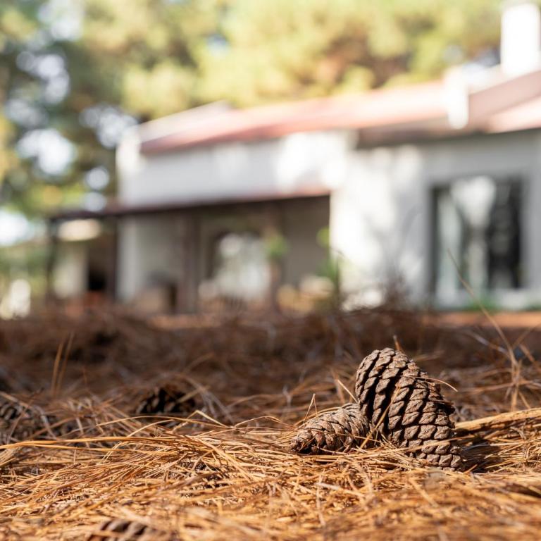 Chacra en Emprendimiento Tierra de Caballos - Two-Bedroom House - 10