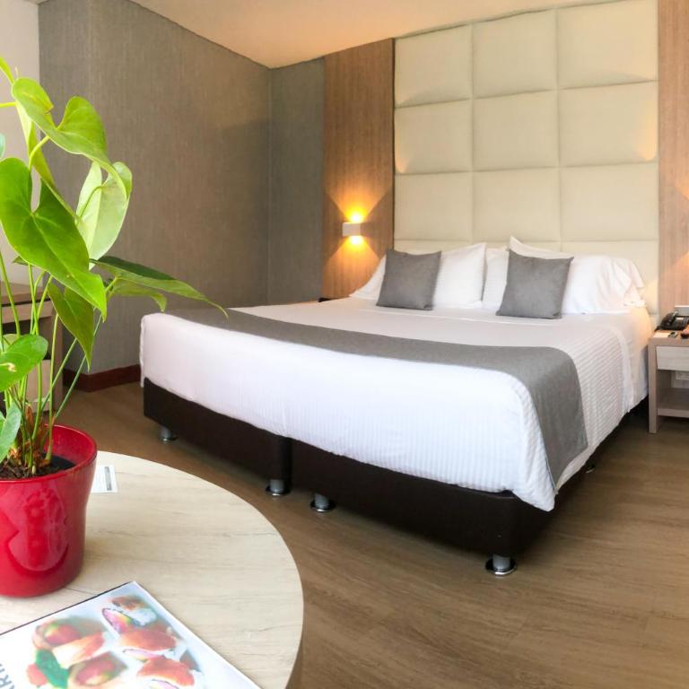 Hotel San Fernando Plaza - Habitación Doble - 1