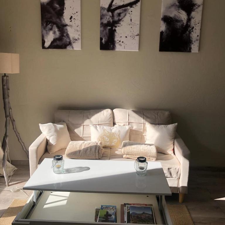 La catane - Appartement 1 Chambre - 12