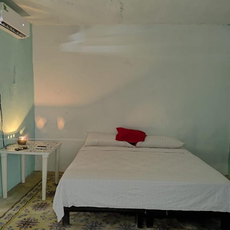 house 2 bedrooms downtown Merida - Casa con 1 dormitorio - 18