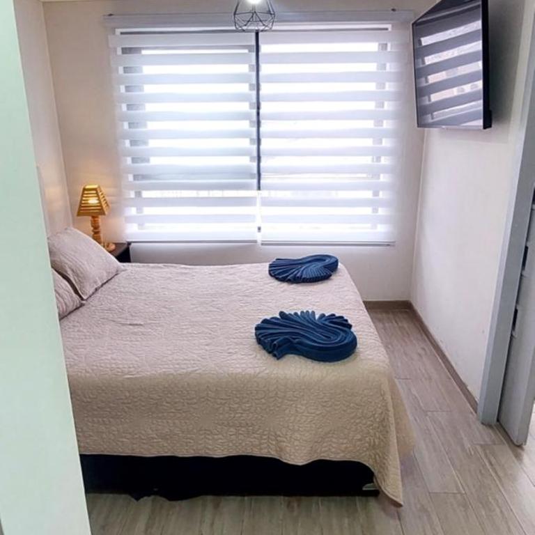 Sensacional Departamento Centro - Mar 1D 1B - Apartamento de 1 dormitorio - 2