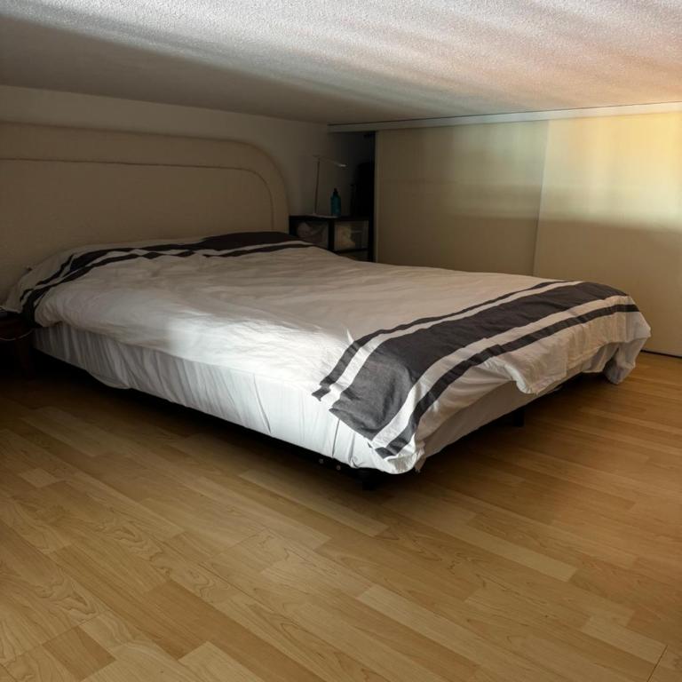 Super Monaco - Appartement 1 Chambre - 33