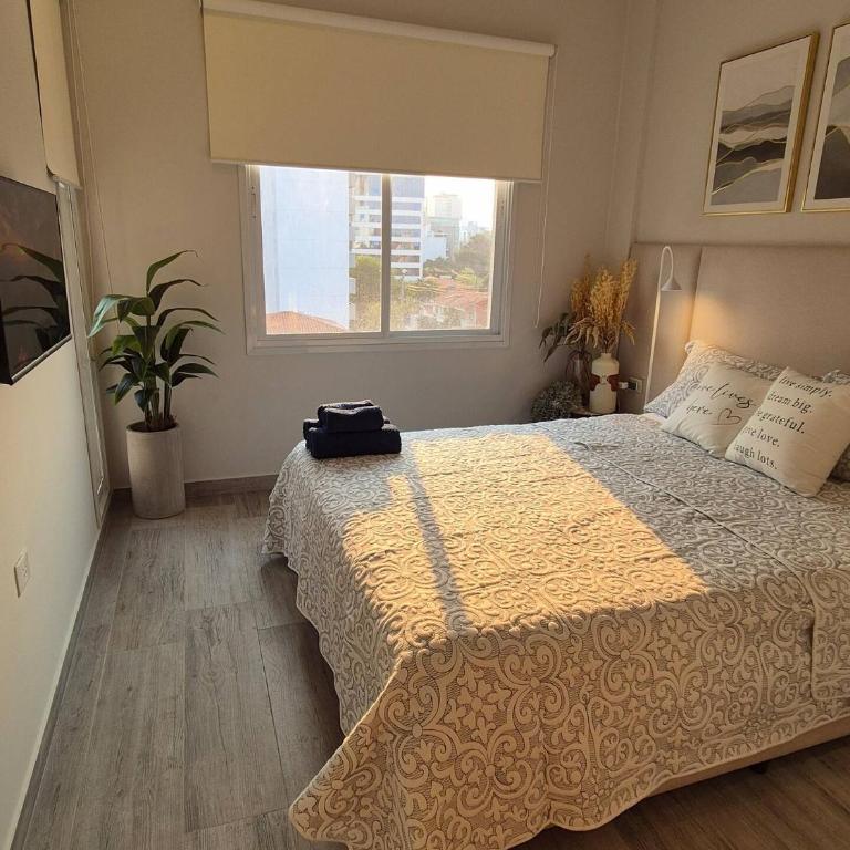 Apartamento Zona Paseo la Galería - One-Bedroom Apartment - 7