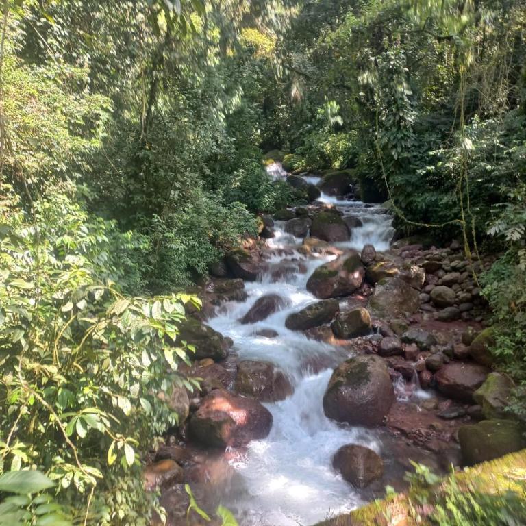 Apartamento hogar para compartir con 3 habitaciones 3 piscinas, turco, sauna, gym y más en Restrepo Meta - Apartamento de 3 dormitorios - 30