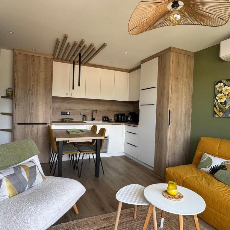 Superbe T2 rénové, climatisé, parking, balcon - Vue ville et montagnes - FR-1-555-116 - Apartment - 1