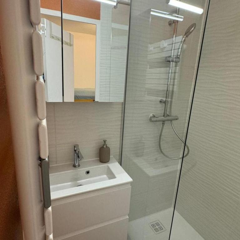 Studio cosy 4 pers à Châtel avec terrasse et parking - FR-1-676-221 - Studio - 8