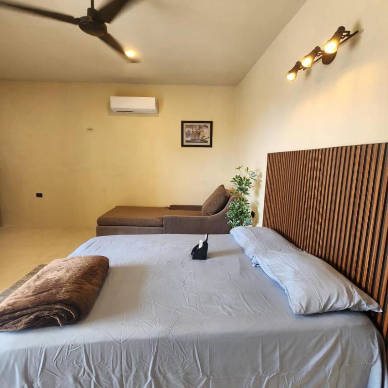 Casa Robinson 4 - Apartamento de 1 dormitorio - 1