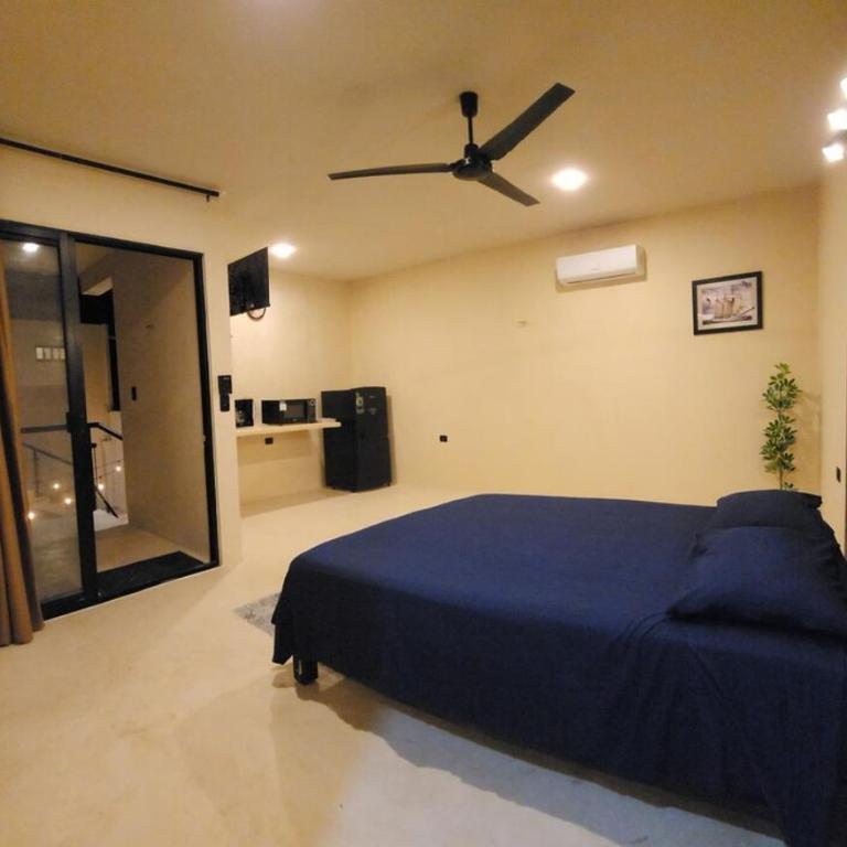 Casa Robinson 4 - Apartamento de 1 dormitorio - 6