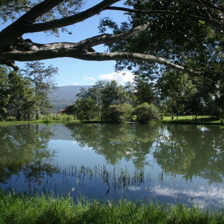 Hotel Ráquira Silvestre Lodge - Bungalow (3-5 adultos) - 8