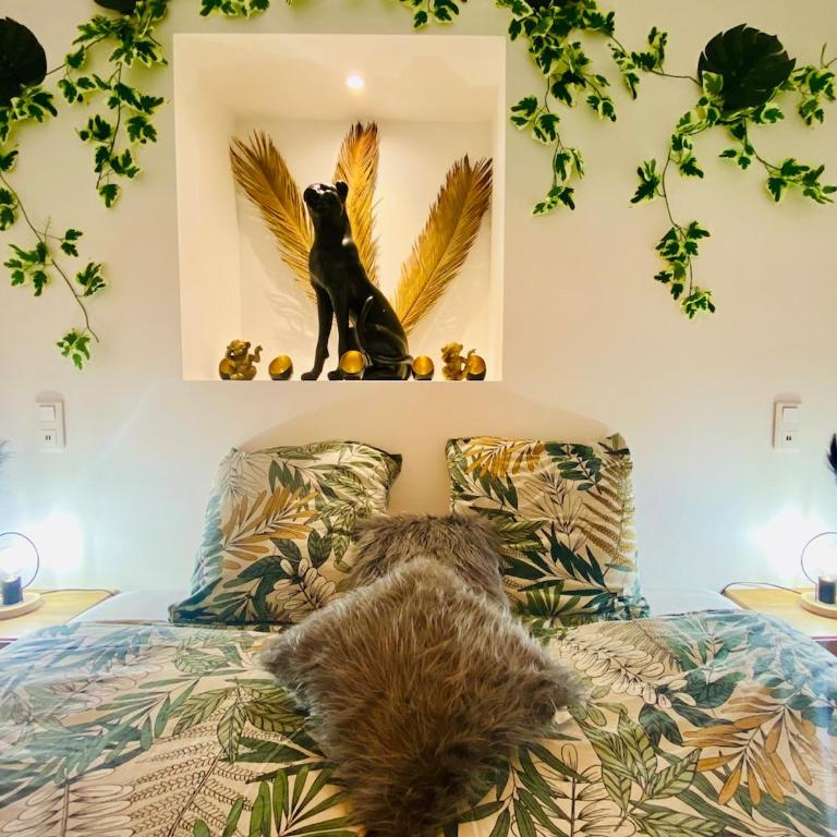Ici, dort un Gorille - Appartement 1 Chambre - 1