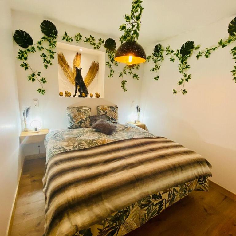 Ici, dort un Gorille - Appartement 1 Chambre - 2