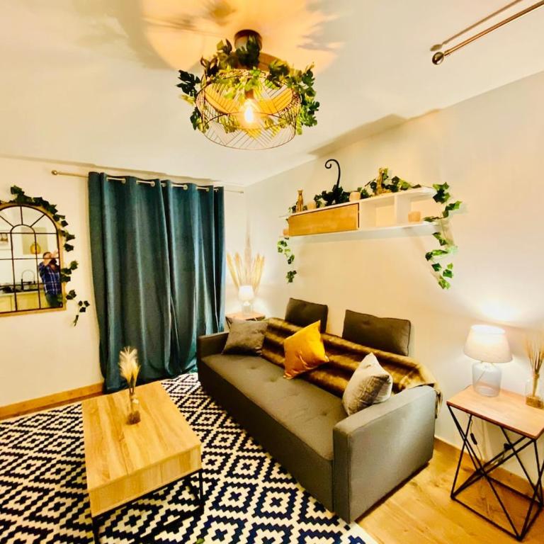Ici, dort un Gorille - Appartement 1 Chambre - 7