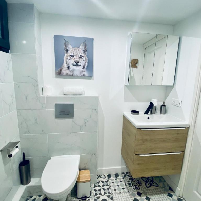Ici, dort un Gorille - Appartement 1 Chambre - 8