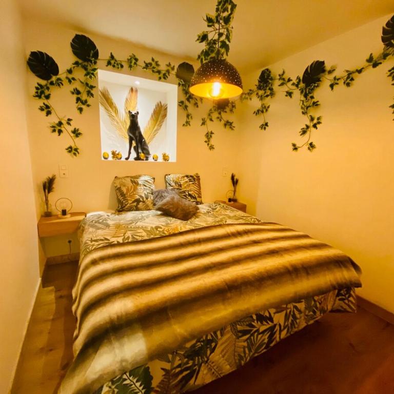 Ici, dort un Gorille - Appartement 1 Chambre - 15