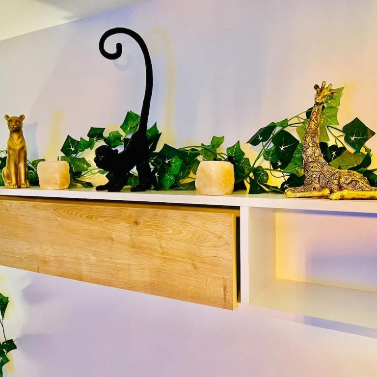 Ici, dort un Gorille - Appartement 1 Chambre - 17
