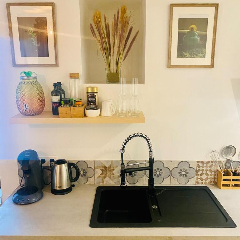 Ici, dort un Gorille - Appartement 1 Chambre - 19