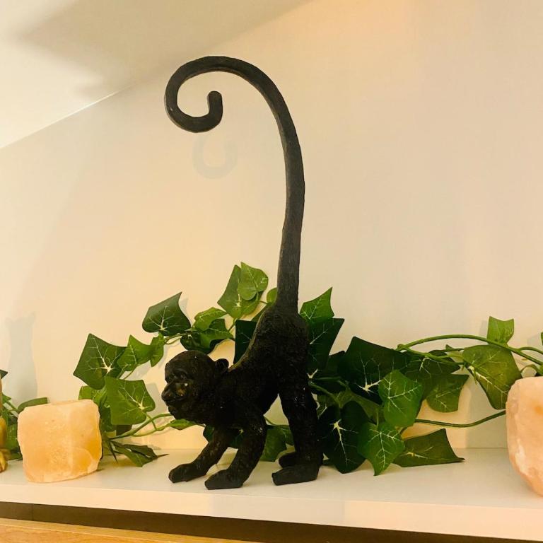 Ici, dort un Gorille - Appartement 1 Chambre - 22