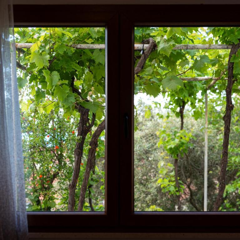 Hera City Apartment - Apartman sa 1 Spavaćom Sobom - 3